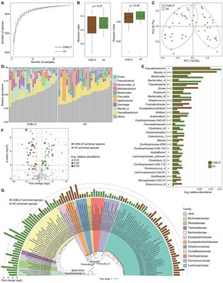 Metagenome-based characterization of the gut bacteriome, mycobiome, and virome in patients with chronic hepatitis B-related liver fibrosis